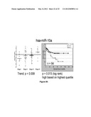 METHOD OF DIAGNOSING POOR SURVIVAL PROGNOSIS COLON CANCER USING miR-203 diagram and image