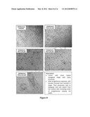 METHOD FOR THE TREATMENT OF CENTRAL NERVOUS SYSTEM CANCERS AND     COMPOSITIONS RELATED THERETO diagram and image