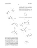 NOVEL KINASE MODULATORS diagram and image