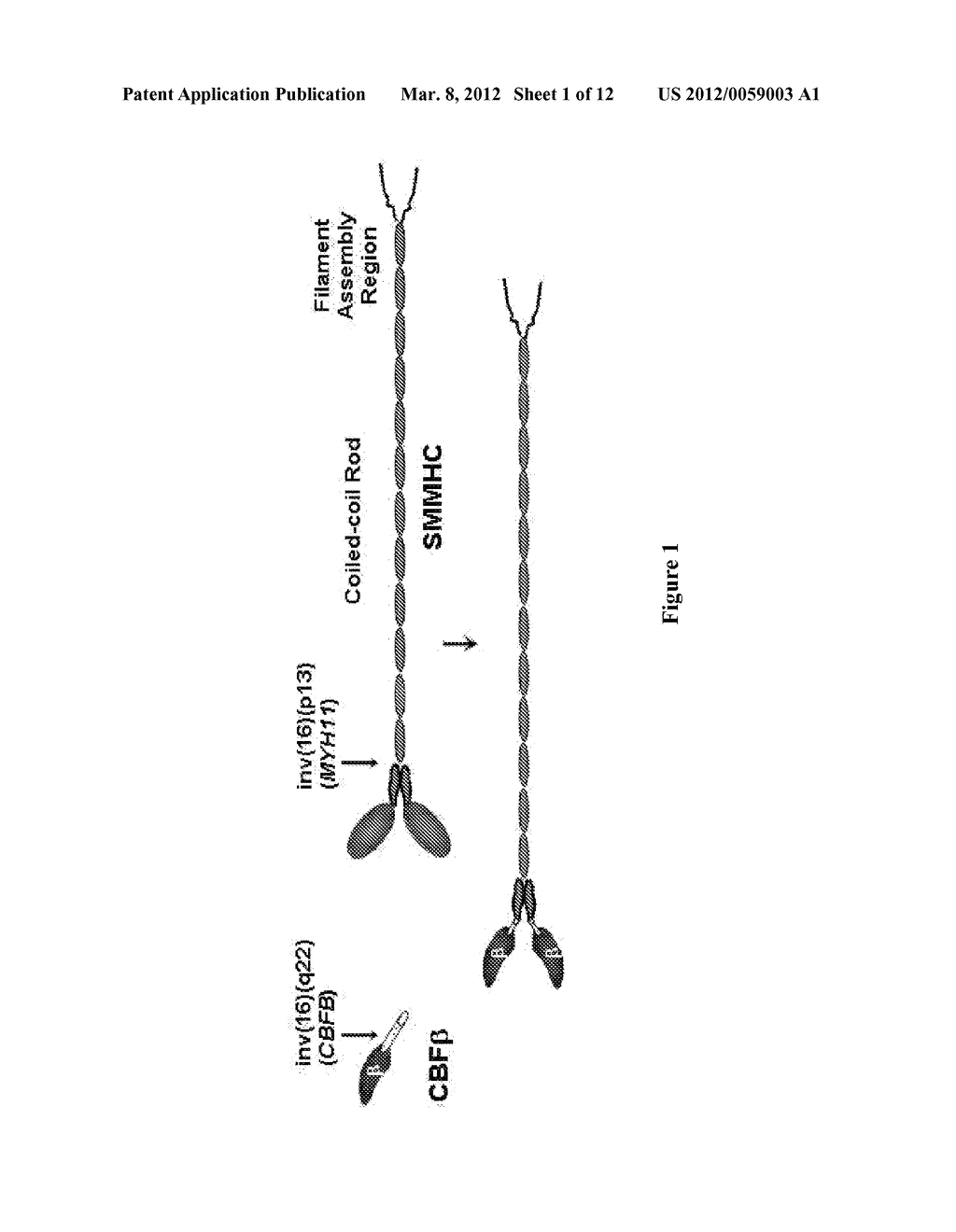 INHIBITORS OF INV(16) LEUKEMIA - diagram, schematic, and image 02