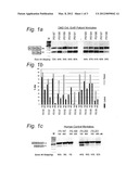 METHOD FOR EFFICIENT EXON (44) SKIPPING IN DUCHENNE MUSCULAR DYSTROPHY AND     ASSOCIATED MEANS diagram and image