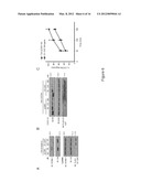 METHODS OF UTILIZING THE ARRESTIN-2/STAM-1 COMPLEX AS A THERAPEUTIC TARGET diagram and image