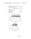 METHODS OF UTILIZING THE ARRESTIN-2/STAM-1 COMPLEX AS A THERAPEUTIC TARGET diagram and image