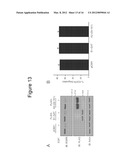 METHODS OF UTILIZING THE ARRESTIN-2/STAM-1 COMPLEX AS A THERAPEUTIC TARGET diagram and image