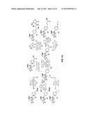 System for Controlling the Reactivity of Boronic Acids diagram and image