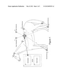 Animal Instrumentation diagram and image