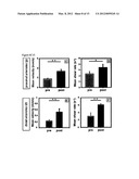 METHOD AND DEVICE FOR MONITORING AND IMPROVING ARTERIOGENESIS diagram and image