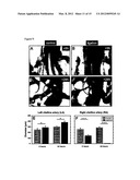 METHOD AND DEVICE FOR MONITORING AND IMPROVING ARTERIOGENESIS diagram and image