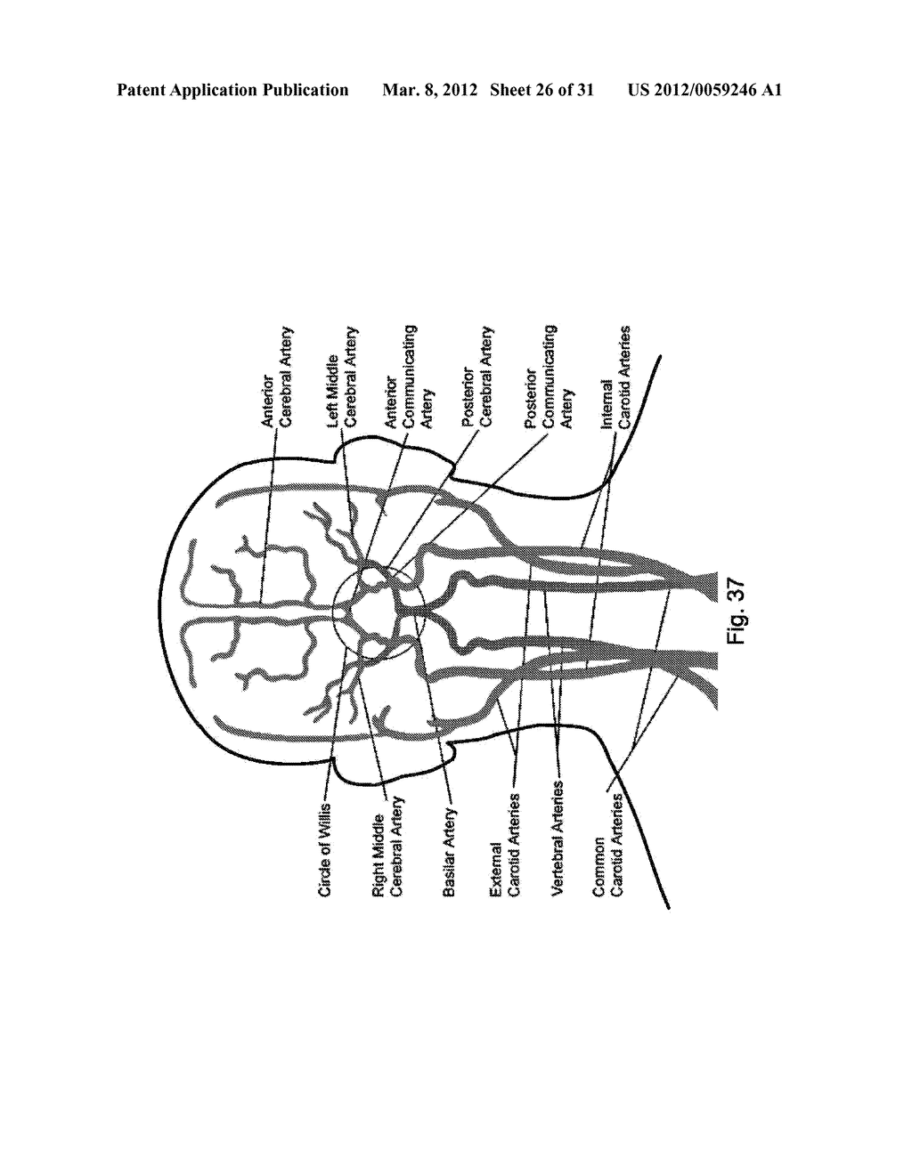 METHOD AND SYSTEM FOR PATIENT-SPECIFIC MODELING OF BLOOD FLOW - diagram, schematic, and image 27