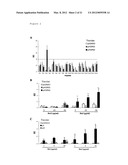 DNA VACCINES ENCODING HEAT SHOCK PROTEINS diagram and image