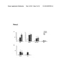 DNA VACCINES ENCODING HEAT SHOCK PROTEINS diagram and image