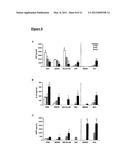 DNA VACCINES ENCODING HEAT SHOCK PROTEINS diagram and image