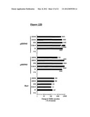 DNA VACCINES ENCODING HEAT SHOCK PROTEINS diagram and image