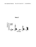 DNA VACCINES ENCODING HEAT SHOCK PROTEINS diagram and image