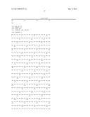 DNA VACCINES ENCODING HEAT SHOCK PROTEINS diagram and image