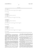 DNA VACCINES ENCODING HEAT SHOCK PROTEINS diagram and image