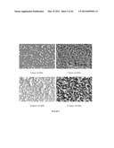 MODIFICATION OF STENT SURFACES TO IMPART FUNCTIONALITY diagram and image