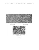 MODIFICATION OF STENT SURFACES TO IMPART FUNCTIONALITY diagram and image