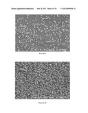 MODIFICATION OF STENT SURFACES TO IMPART FUNCTIONALITY diagram and image