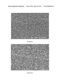 MODIFICATION OF STENT SURFACES TO IMPART FUNCTIONALITY diagram and image