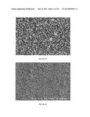 MODIFICATION OF STENT SURFACES TO IMPART FUNCTIONALITY diagram and image