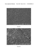 MODIFICATION OF STENT SURFACES TO IMPART FUNCTIONALITY diagram and image