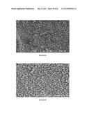 MODIFICATION OF STENT SURFACES TO IMPART FUNCTIONALITY diagram and image