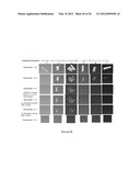 MODIFICATION OF STENT SURFACES TO IMPART FUNCTIONALITY diagram and image