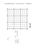 Non-Linear Rasterized Contour Filters diagram and image