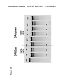 METHODS AND COMPOSITIONS FOR MODIFICATION OF A HLA LOCUS diagram and image