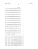 NUCLEIC ACIDS AND PROTEINS ASSOCIATED WITH SUCROSE ACCUMULATION IN COFFEE diagram and image