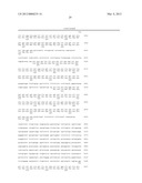 NUCLEIC ACIDS AND PROTEINS ASSOCIATED WITH SUCROSE ACCUMULATION IN COFFEE diagram and image