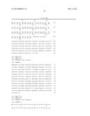 NUCLEIC ACIDS AND PROTEINS ASSOCIATED WITH SUCROSE ACCUMULATION IN COFFEE diagram and image