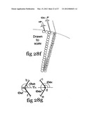 Novel method of construction using a geodesic honeycomb skeleton diagram and image