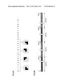 IMAGE PROCESSING APPARATUS, IDENTIFICATION APPARATUS, ELECTRONIC WRITING     INSTRUMENT, METHOD FOR DETERMINING BIT SEQUENCE AND COMPUTER READABLE     MEDIUM diagram and image