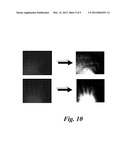 GESTURE CONTROL SYSTEM diagram and image