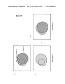 VECTOR GRAPHIC DRAWING DEVICE diagram and image