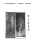 Hyperspectral imaging sensor for tracking moving targets diagram and image