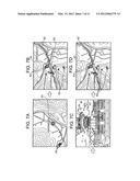 PLAYBACK DISPLAY DEVICE, IMAGE CAPTURING DEVICE, PLAYBACK DISPLAY METHOD,     AND STORAGE MEDIUM diagram and image