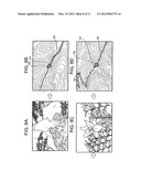 PLAYBACK DISPLAY DEVICE, IMAGE CAPTURING DEVICE, PLAYBACK DISPLAY METHOD,     AND STORAGE MEDIUM diagram and image