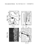 PLAYBACK DISPLAY DEVICE, IMAGE CAPTURING DEVICE, PLAYBACK DISPLAY METHOD,     AND STORAGE MEDIUM diagram and image