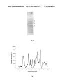 body fluid detection method using surface enhanced Raman spectroscopy diagram and image