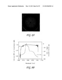 FIBER OPTIC SENSOR USING A HOLLOW CORE FIBER diagram and image