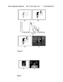 SYSTEM AND METHOD FOR MOTION DETECTION AND THE USE THEREOF IN VIDEO CODING diagram and image