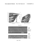 INERTIAL PARTICLE FOCUSING SYSTEM diagram and image