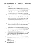 PSCA: PROSTATE STEM CELL ANTIGEN AND USES THEREOF diagram and image