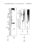 PSCA: PROSTATE STEM CELL ANTIGEN AND USES THEREOF diagram and image