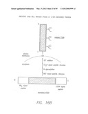 PSCA: PROSTATE STEM CELL ANTIGEN AND USES THEREOF diagram and image