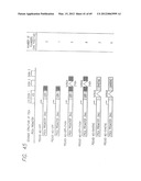 PSCA: PROSTATE STEM CELL ANTIGEN AND USES THEREOF diagram and image