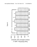 Pregnancy-Induced Oligodendrocyte Precursor Cell Proliferation Regulated     by Prolactin diagram and image